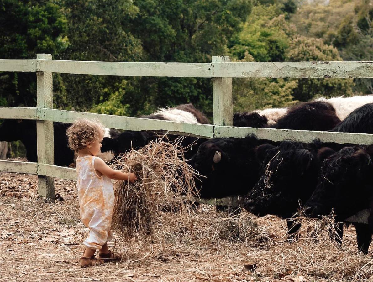 Rosecliffe Boutique Farm Cottages Pomona ภายนอก รูปภาพ